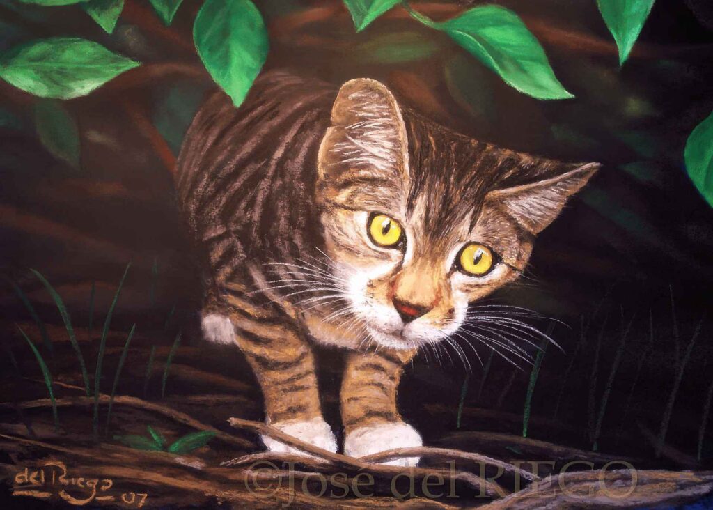 Aprendiz de tigre - Obra de José del Riego