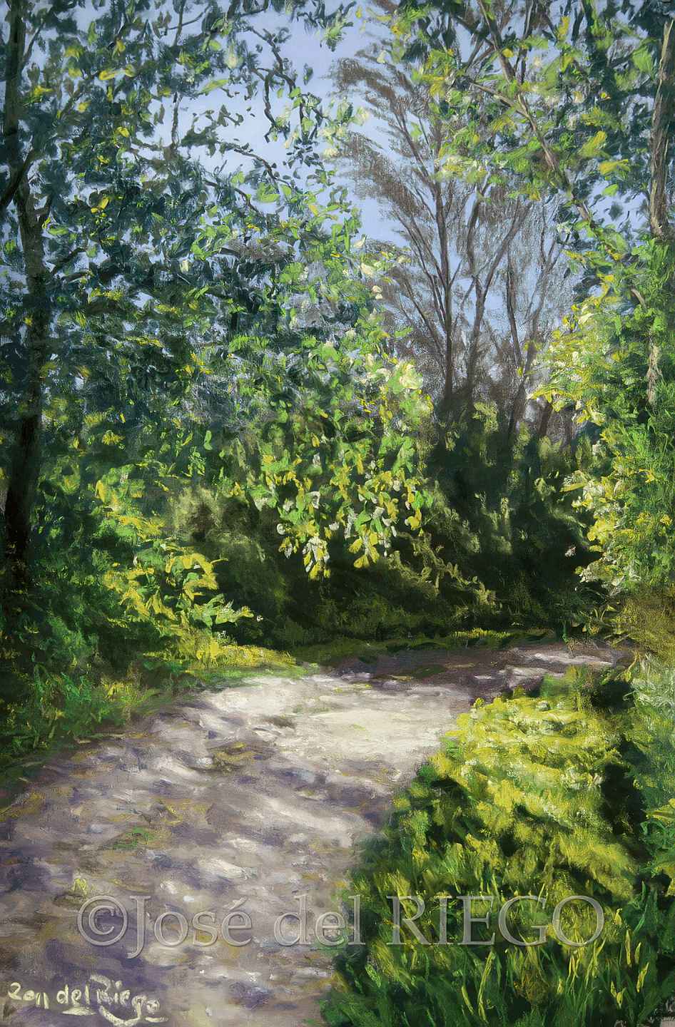 CAMINO DEL RIO AL ATARDECER