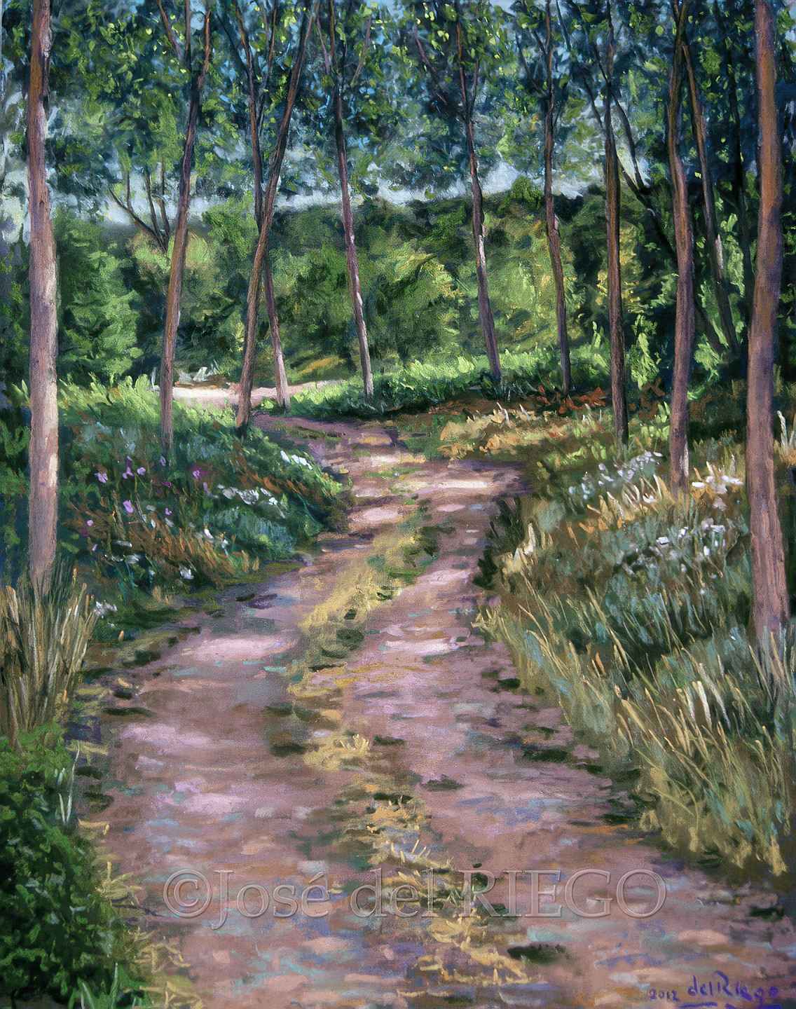 CLAROSCURO EN EL SOTO