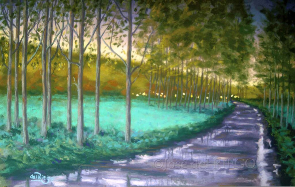 VUELTA A CASA TRAS LA TORMENTA